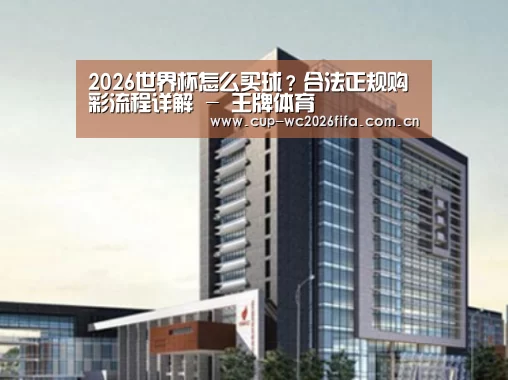 世界杯买球案例展示四