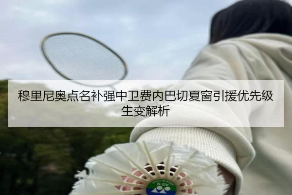 穆里尼奥点名补强中卫费内巴切夏窗引援优先级生变解析